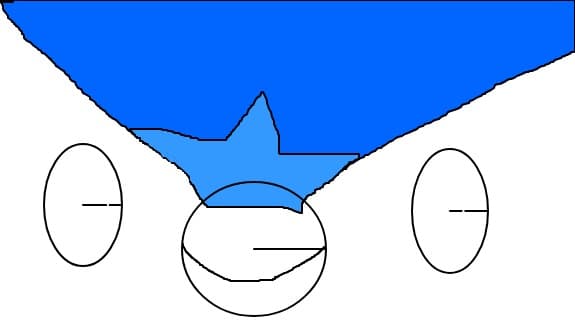 Piplop