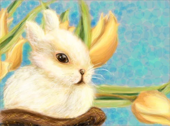 Cute baby bunny! Mustaciosul :))