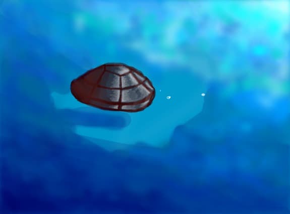 grab a shell,dude!