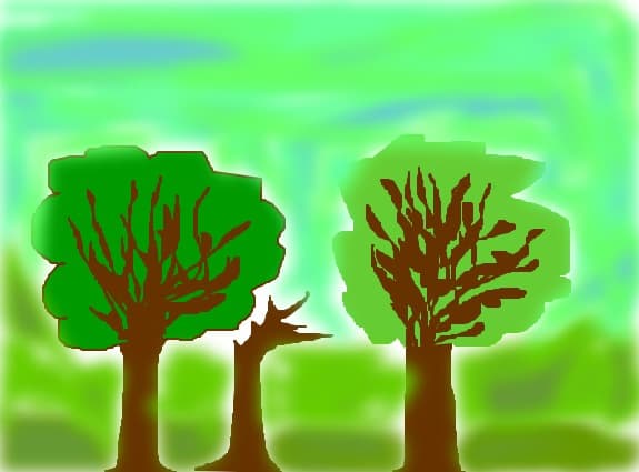 copaci