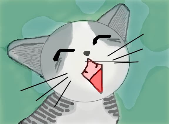 Miau Miau