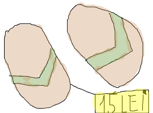 slapi 15 lei