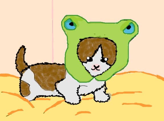 Mascota mea