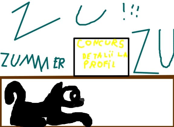 Concurs