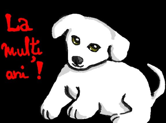 un catel..