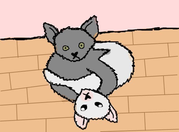yin si yang