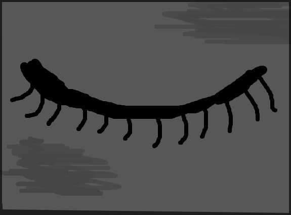 ochi