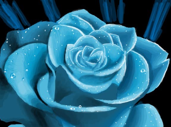 Blue Rose