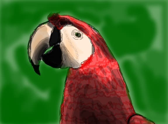 Papagal (Parrot)