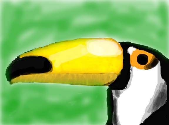 Tucan