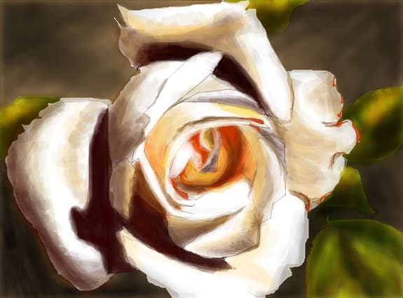 ~~~..rose...~~~