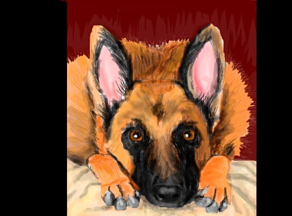 my passion-german shepherds