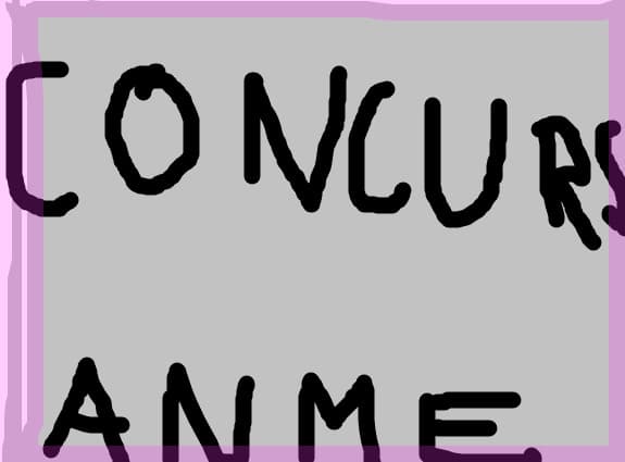 concurs anime premi mari