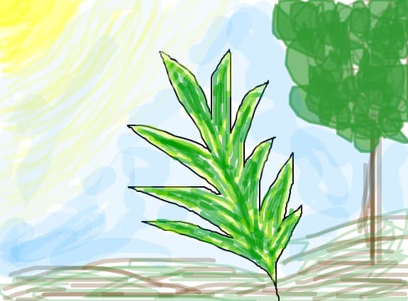 fly leaf
