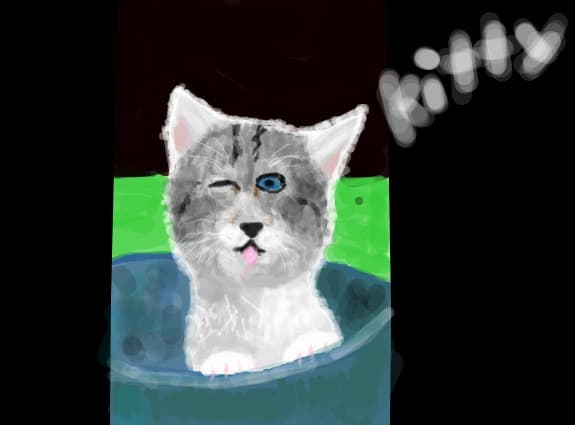 Little cat