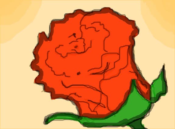 raman si vam desenat un trandafir