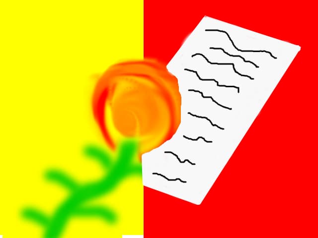 trandafir