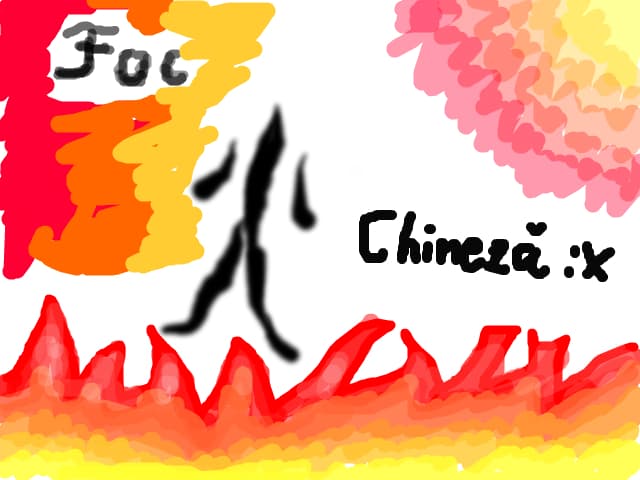 chineza:X:X:X:X