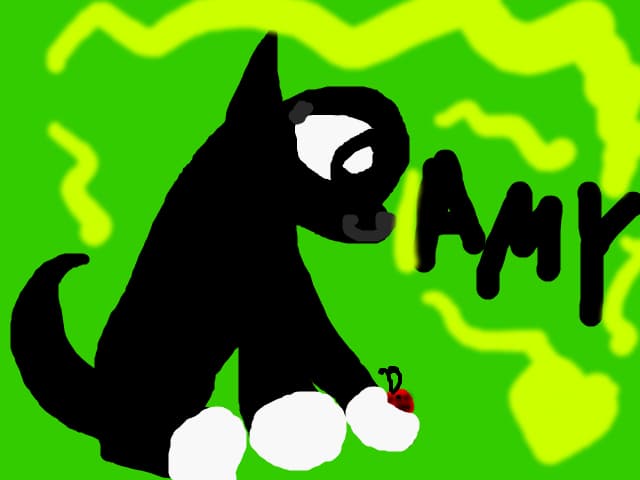 amy