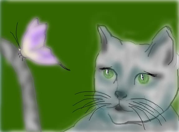 butterfly and cat