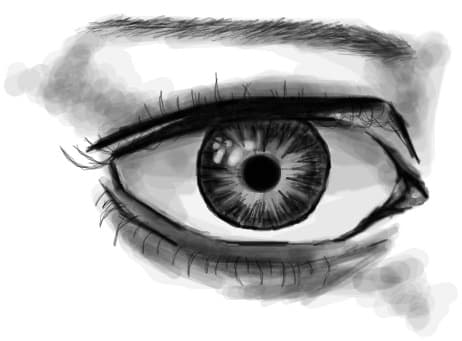 eye