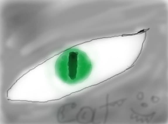 cat eye