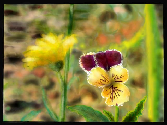 natura