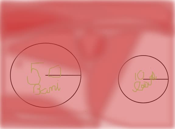 50 bani