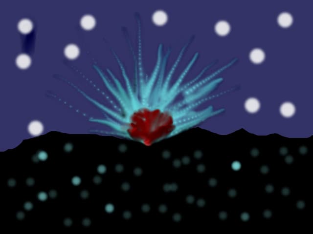 explozie booom