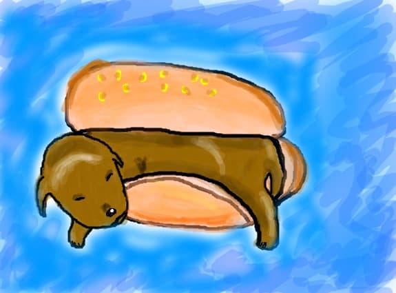 hot-dog
