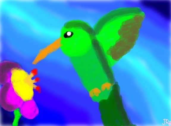 Pasarea colibri