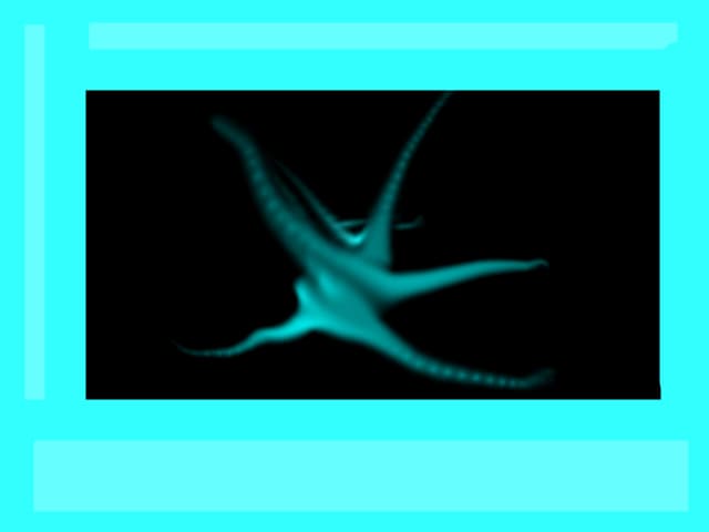 turcoaz