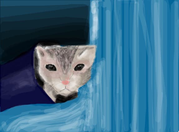 pisoi