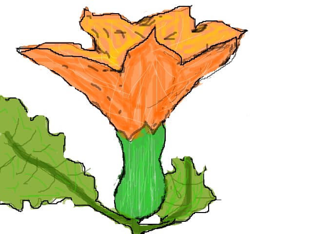 floare