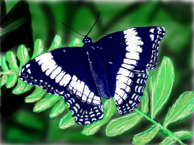 fluture