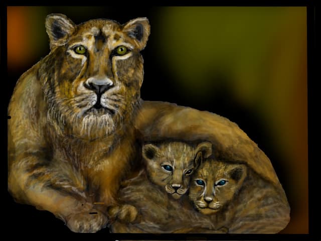 lions