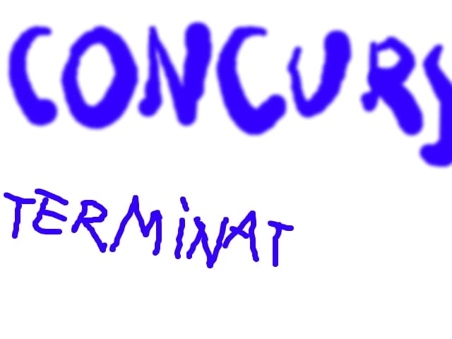 CONCURS TERMINAT