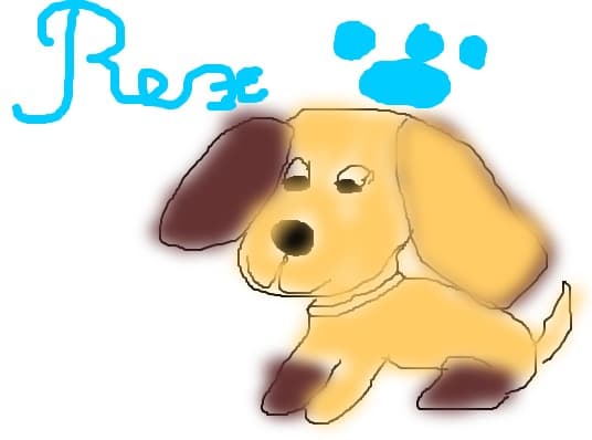 Rex