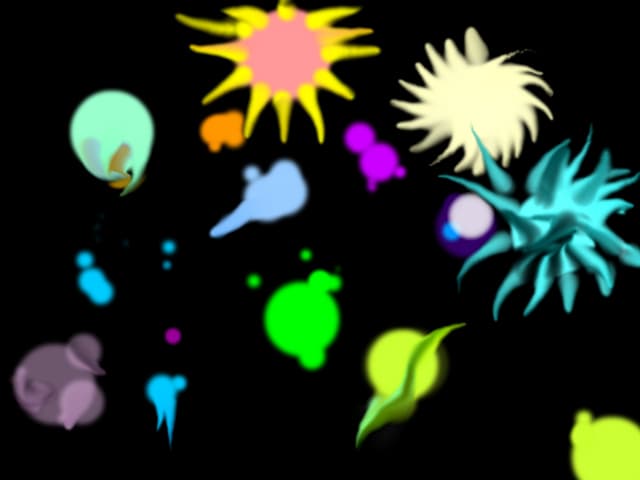 Splash CO