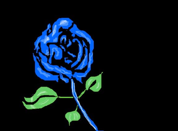 Magic rose