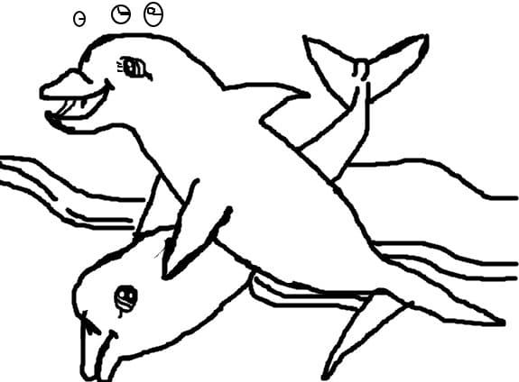 delfini schita