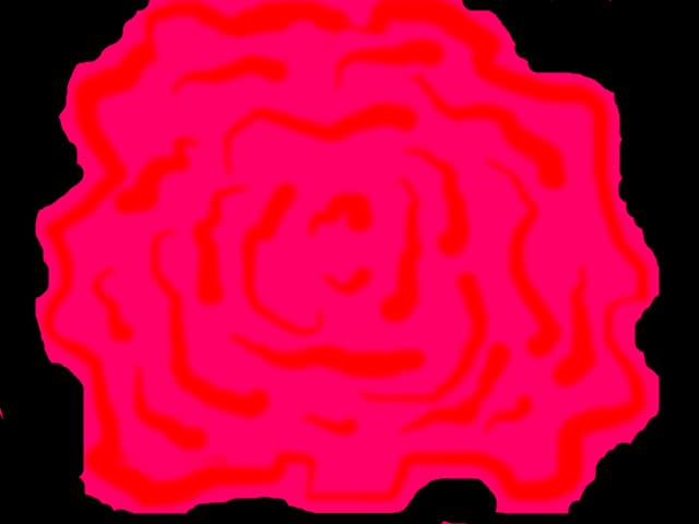 trandafir