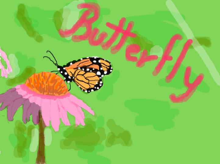 Butterfly...