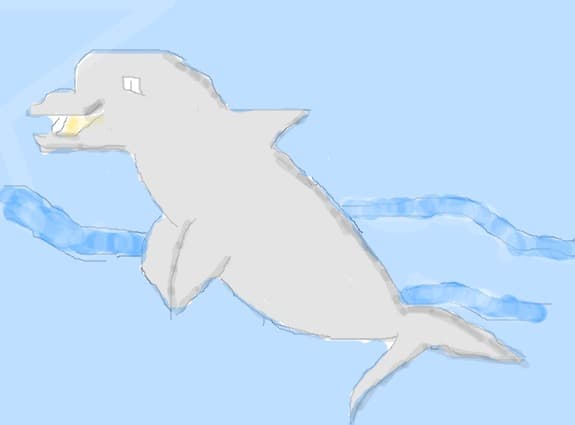 delfini