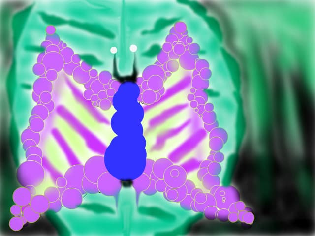 fluture