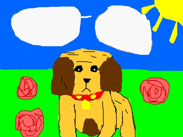 cutu dragut