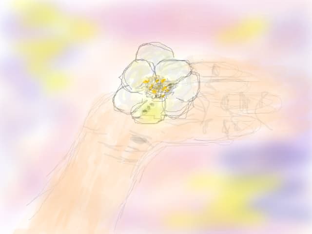 o floare pentru toti desenatori