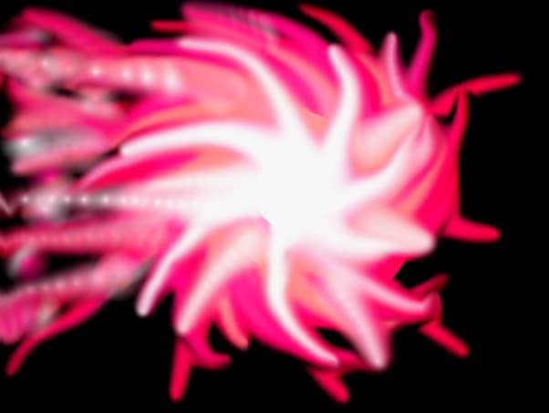 Abstract