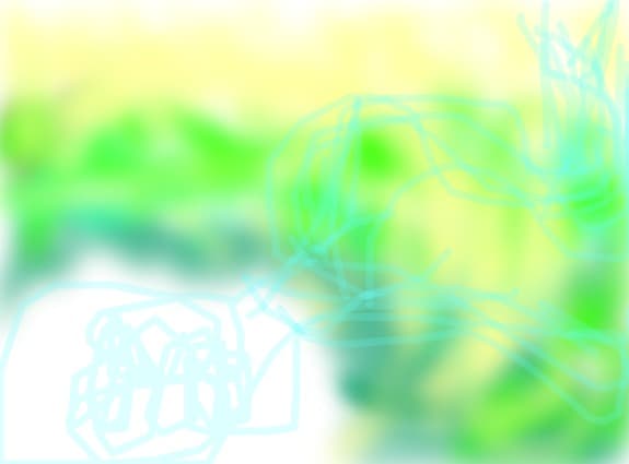 flowers from nowhere