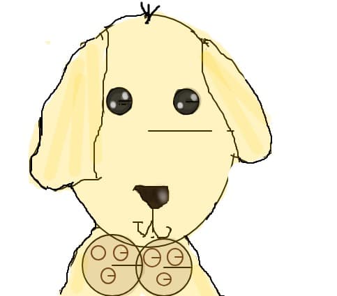 puppy
